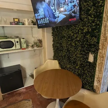 Apartment Tiny Smart Home, Private Garden & Outside Jacuzzi. Center Sintra!
