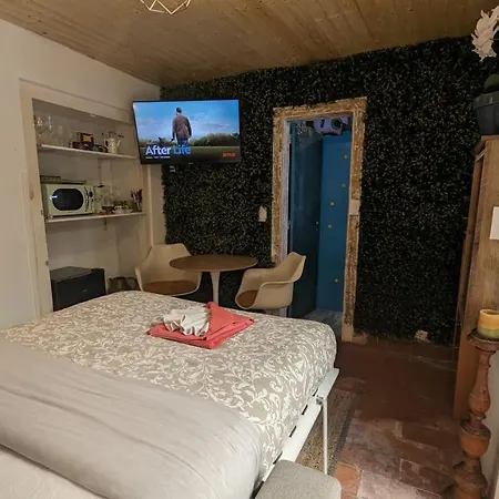 Tiny Smart Home, Private Garden & Outside Jacuzzi. Center Sintra! Σίντρα